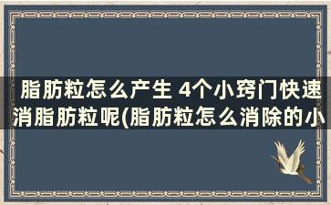 脂肪粒怎么产生 4个小窍门快速消脂肪粒呢(脂肪粒怎么消除的小妙招)